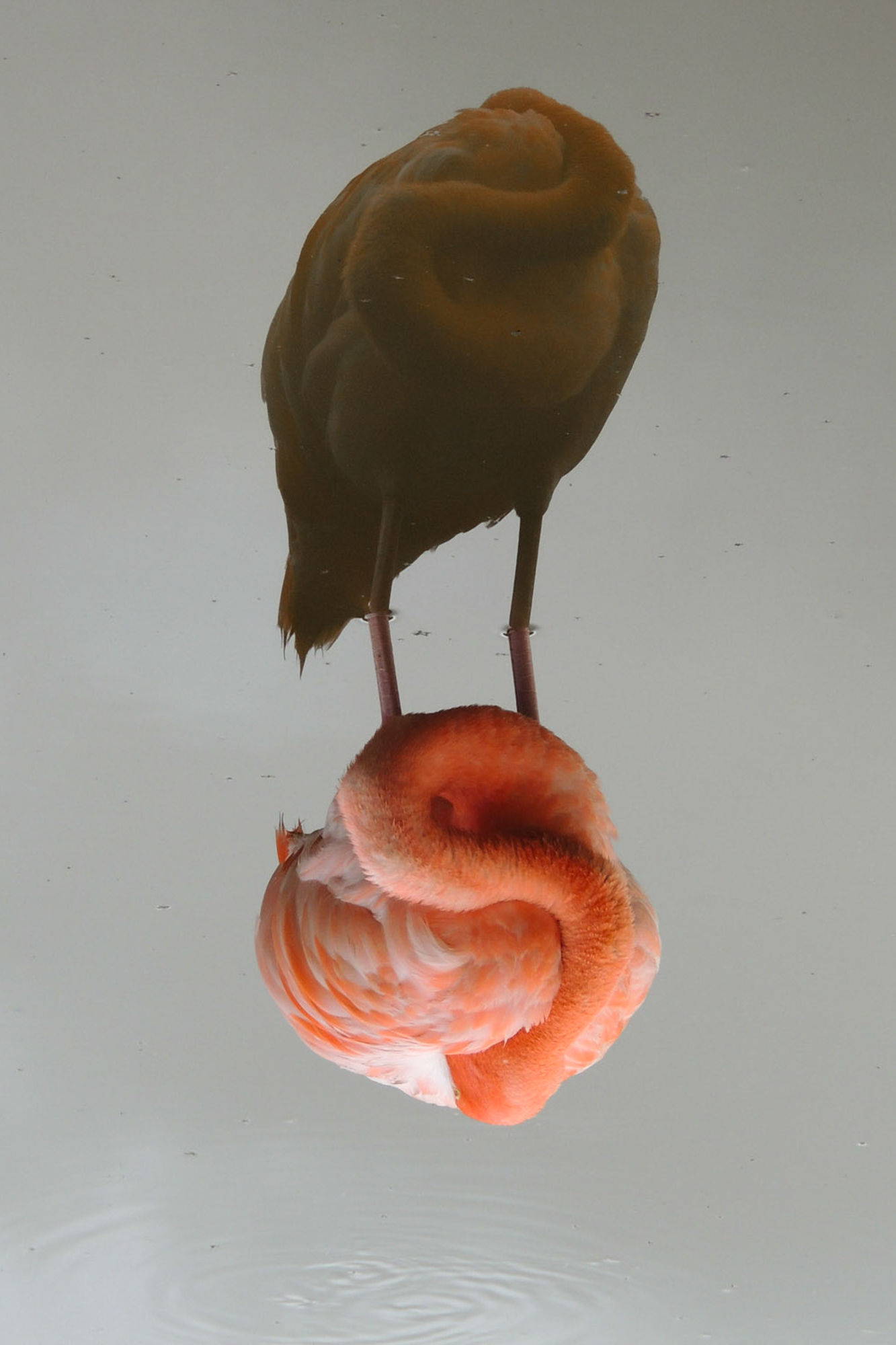 Ganador 2025 - Mejor Foto - Alejandro Luy